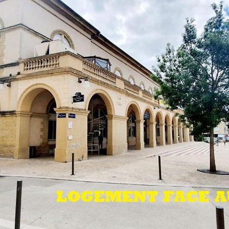 Apartament Le Wlerick 1 - Hyper Centre - Au Calme - Wifi Mont-de-Marsan Zewnętrze zdjęcie